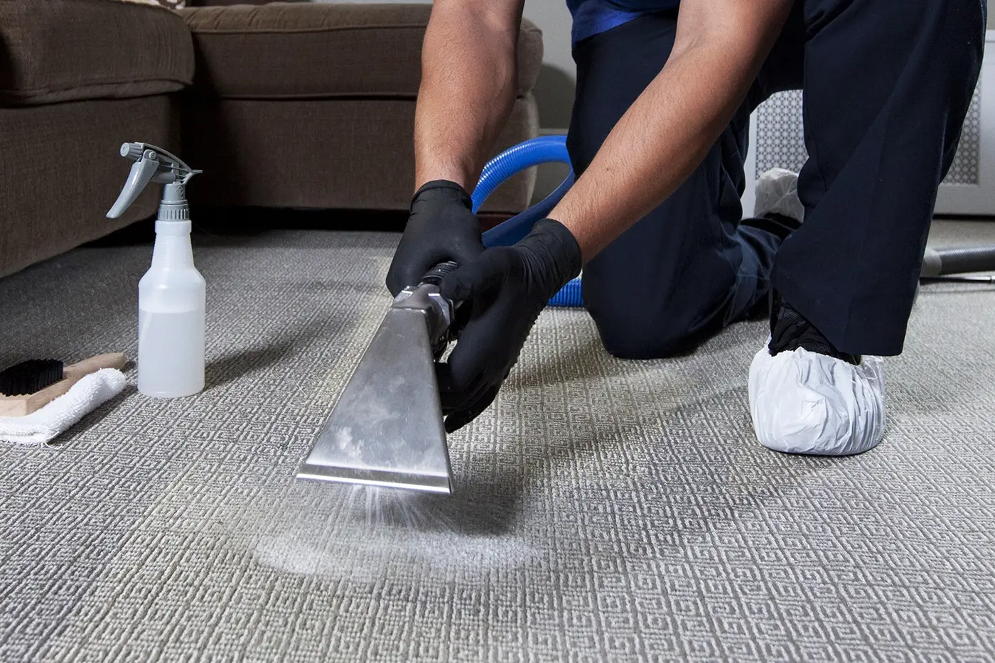 Carpet being deep cleaned with a hot water extraction wand